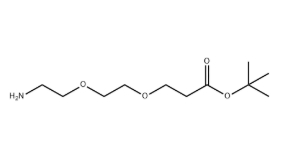 NH2-PEG2-CH2CH2COOtBu