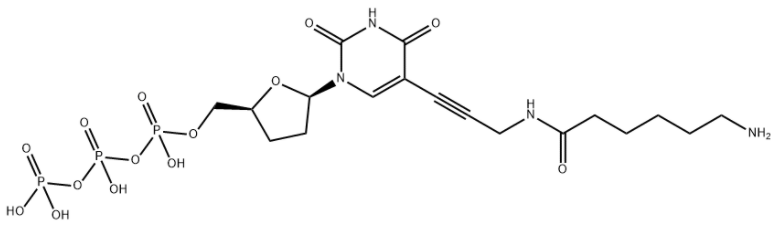 Amino-11-ddUTP 