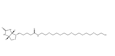（+）-Biotin-PEG6-OH