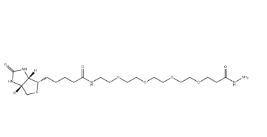 （+）-Biotin-PEG4-Hydrazide