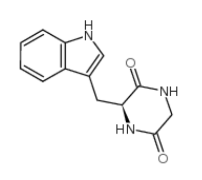 环(甘氨酰-L-色氨酰)	 