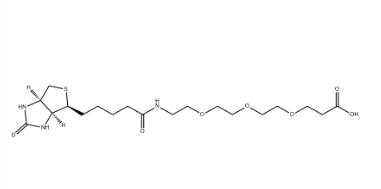 （+）-Biotin-PEG3-CH2CH2COOH