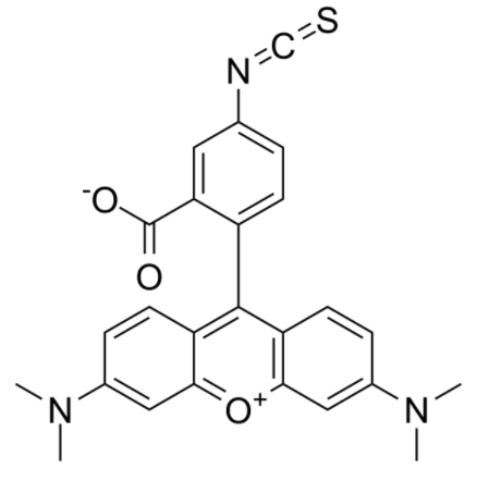 四甲基罗丹明-5-异硫氰酸	 