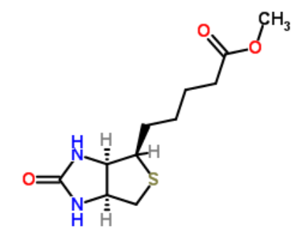 	D-生物素甲酯	 