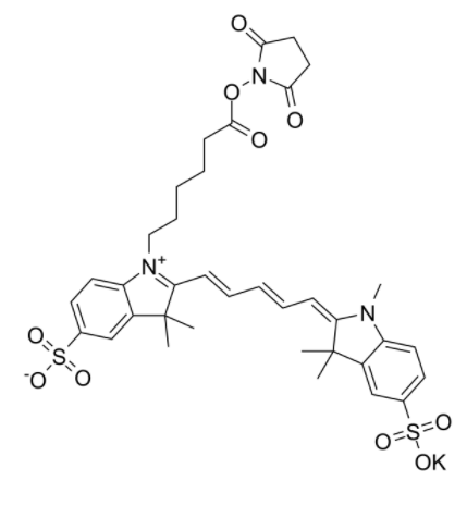 	磺基花青5 NHS酯	 
