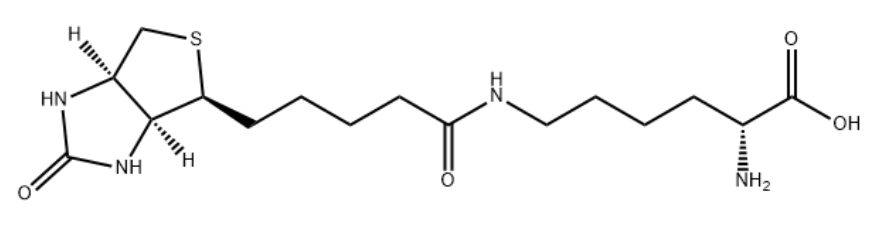 生物素-D-赖氨酸 