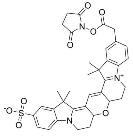 Cy3B NHS ester 