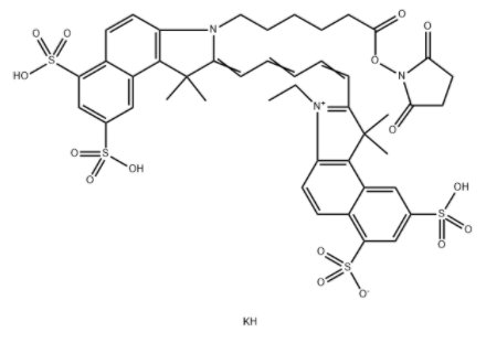 Cy5.5 N-羟基琥珀酰亚胺酯	 