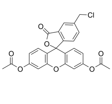 5-氯甲基荧光素二乙酸酯 