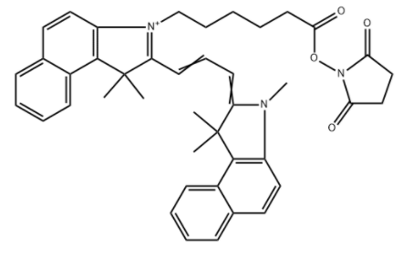 Cyanine3.5 NHS酯 