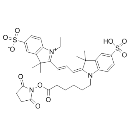CY3-NHS酯	 
