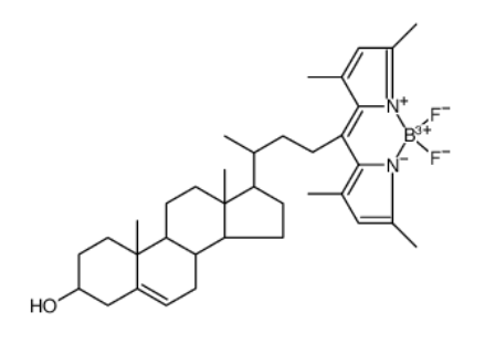 BODIPY Cholesterol