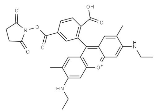 6-罗丹明6G-NHS 活化酯  