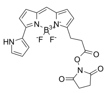  Py-BODIPY-NHS ester