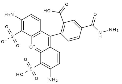 	BP Fluor 488 Hydrazide 