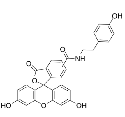 Fluorescein tyramide 