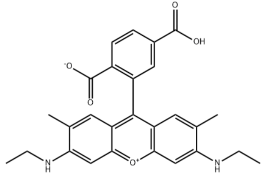 6-Rhodamine 6G COOH   