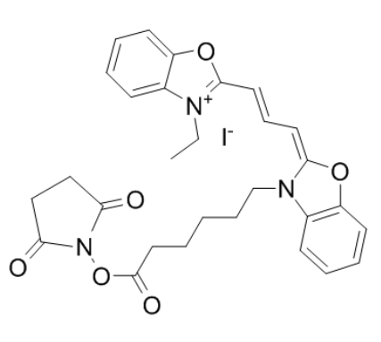 Cyanine2-NHS 