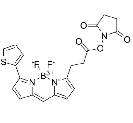 BODIPY 558/568 NHS	 