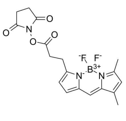 BDP FL NHS Ester 
