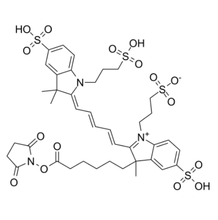 AF647-NHS ester 