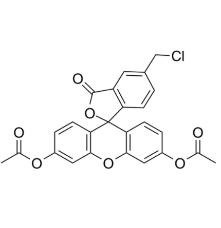 5-氯甲基荧光素二乙酸酯	 