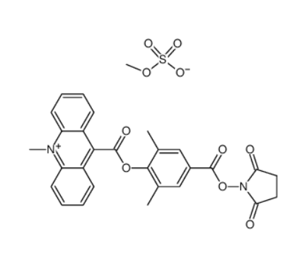 DMAE-NHS ester  