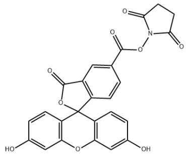 5-Carboxyfluorescein N-succinimidyl ester 