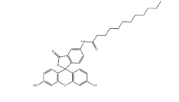 107827-77-0，5-Dodecanoylaminofluorescein