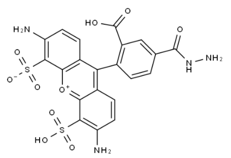 BP Fluor 488 Hydrazide 