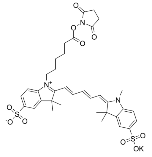 磺基花青5 NHS酯	 
