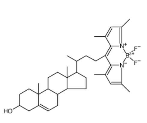 BODIPY-Cholesterol 