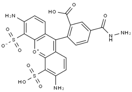 BP Fluor 488 Hydrazide	 