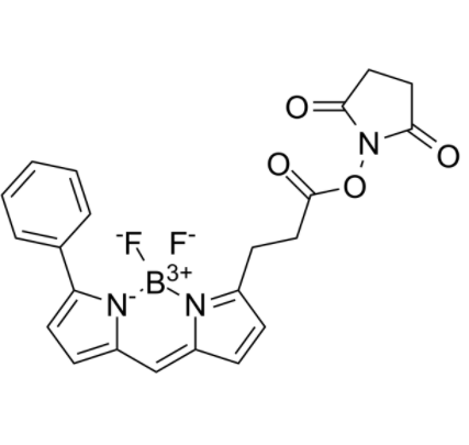 BIODIPY R6G ester 
