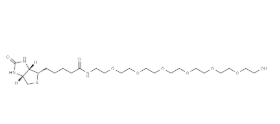 Biotin-PEG7-OH