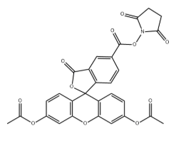 5-diacetate FAM NHS