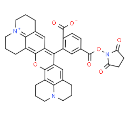 6-ROX NHS 活化酯 