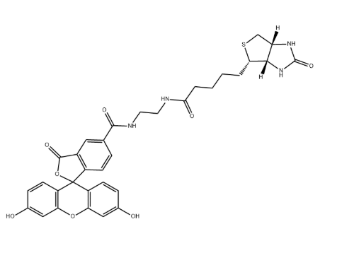 Biotin-4-fluorescein