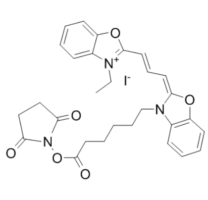 CY2-SE 