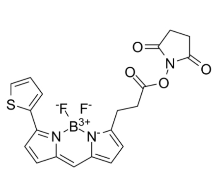 BDP 558/568 NHS ester 