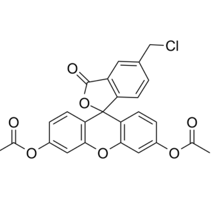 5-氯甲基荧光素二乙酸酯	 