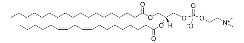 18:0-18:2 PC，CAS:27098-24-4，1-硬脂酰-2-亚油酰-sn-甘油-3-磷脂酰胆碱