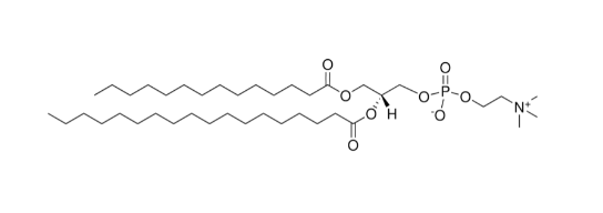 14:0-18:0 PC，CAS:76343-22-1，1-肉豆蔻酰-2-硬脂酰-sn-甘油-3-磷脂酰胆碱