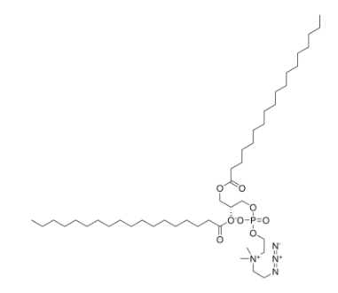 18:0 Azidoethyl PC，CAS: 2342574-09-6