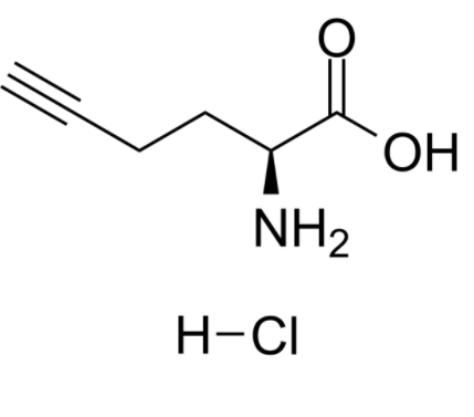 L-Homopropargylglycine hydrochloride 