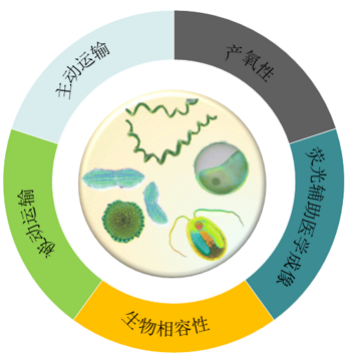 药物递送系统 药物递送系统