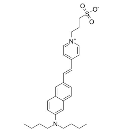 Di-4-ANEPPS  
