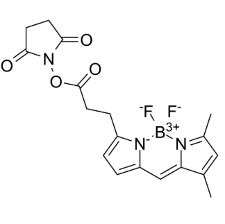 BODIPY FL NHS ester