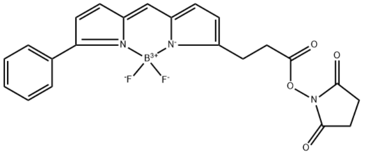 BODIPY R6G Succinimidyl Ester 
