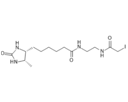 脱硫生物素-碘乙酰胺 